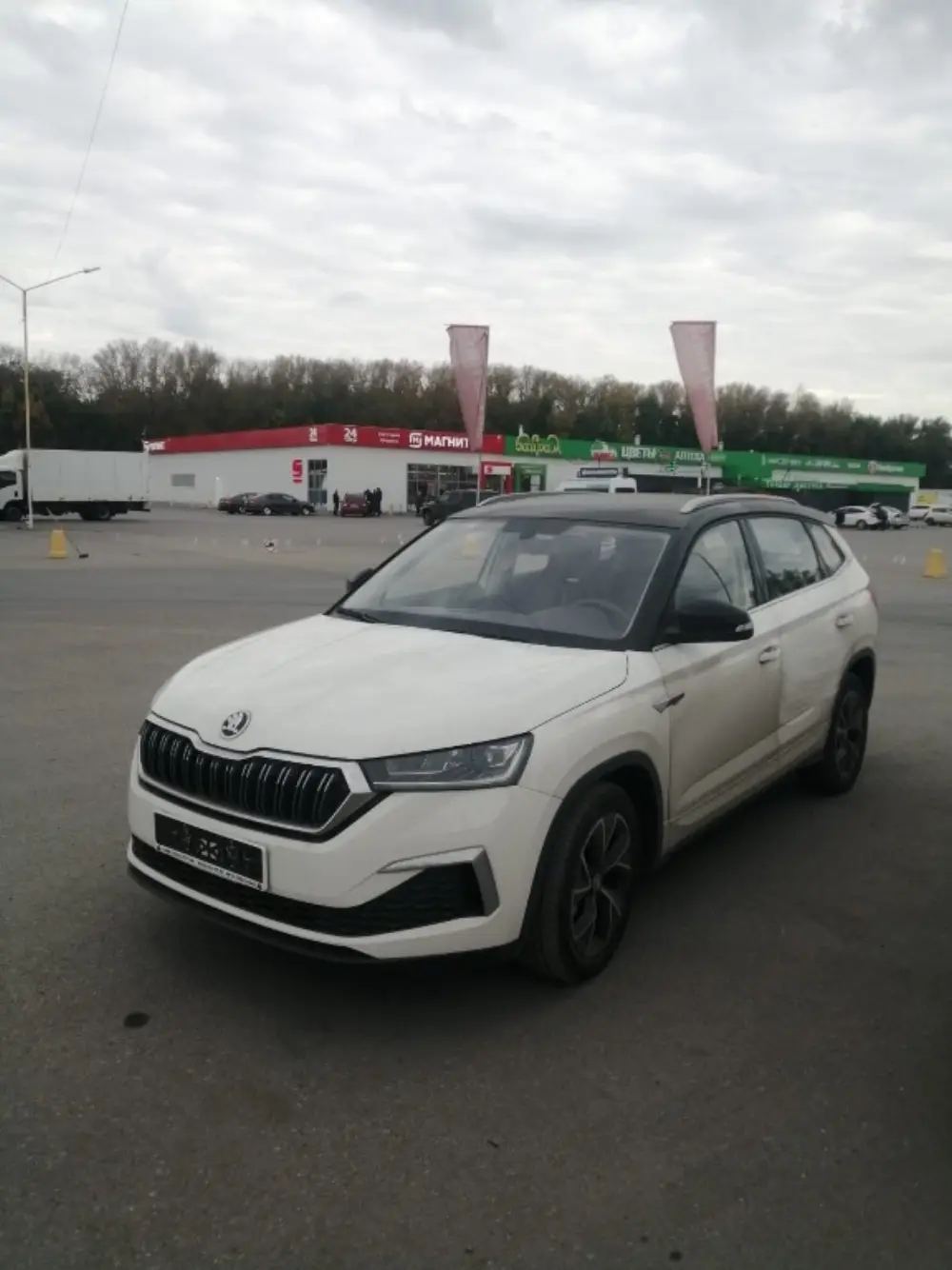 Автомобиль клиента — Альберт